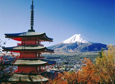 Trip Packages - pg模拟器