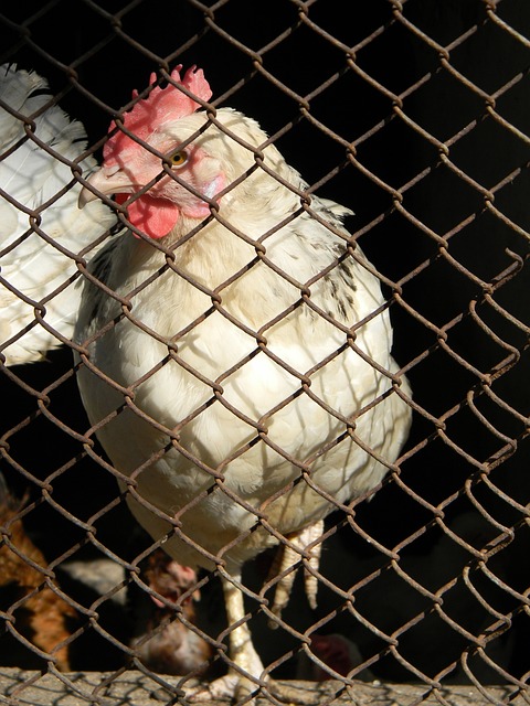 往往会影响 往往会影响